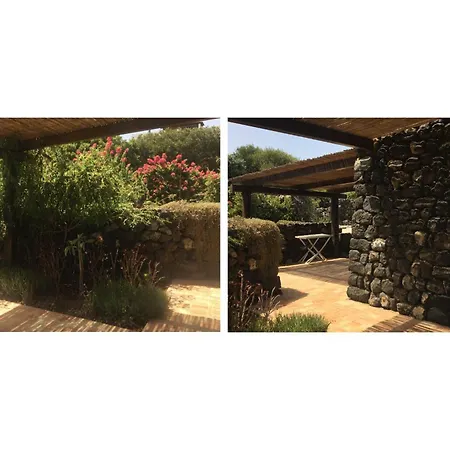 Maimara تراتْشّينو